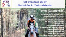 Plakat2017_z_programem